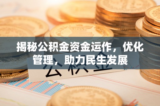 卢龙揭秘公积金资金运作，优化管理，助力民生发展
