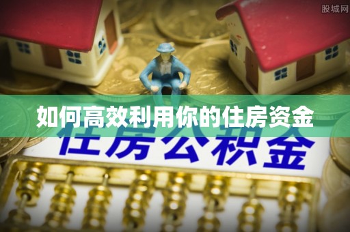 卢龙如何高效利用你的住房资金