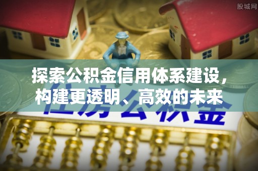 卢龙探索公积金信用体系建设，构建更透明、高效的未来