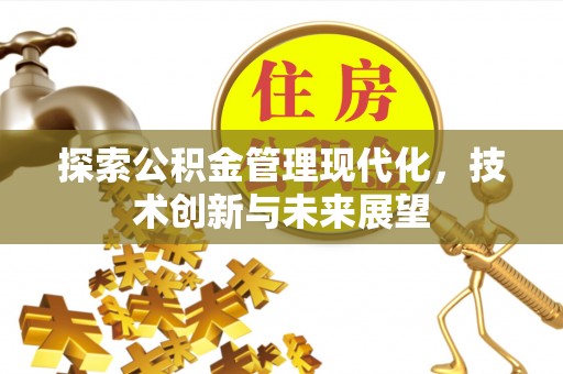 卢龙探索公积金管理现代化，技术创新与未来展望
