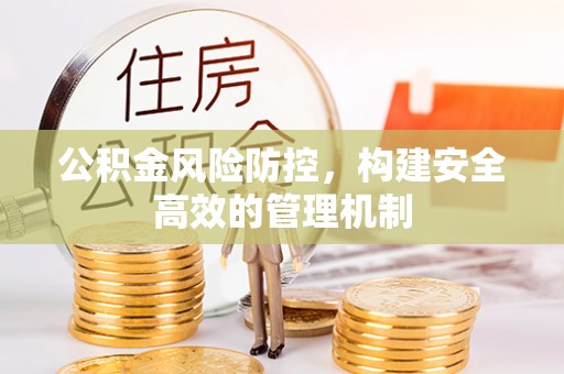 卢龙公积金风险防控，构建安全高效的管理机制