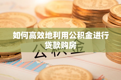 卢龙如何高效地利用公积金进行贷款购房