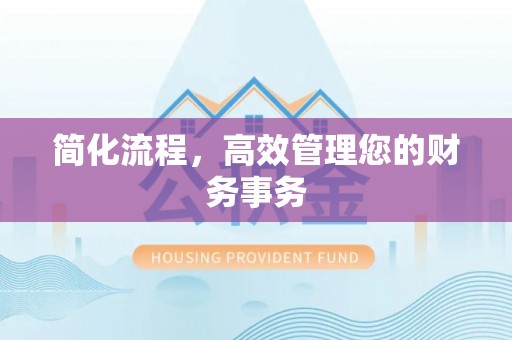 卢龙简化流程，高效管理您的财务事务