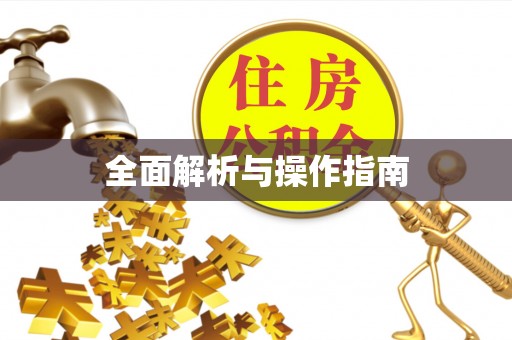 卢龙全面解析与操作指南
