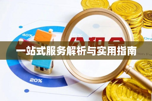 卢龙一站式服务解析与实用指南
