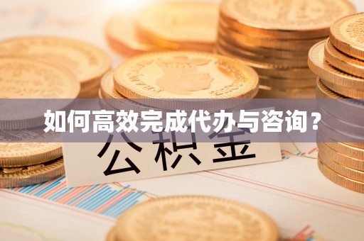 卢龙如何高效完成代办与咨询？
