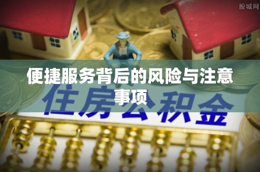卢龙便捷服务背后的风险与注意事项