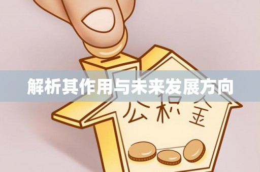 卢龙解析其作用与未来发展方向