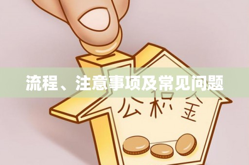 卢龙流程、注意事项及常见问题