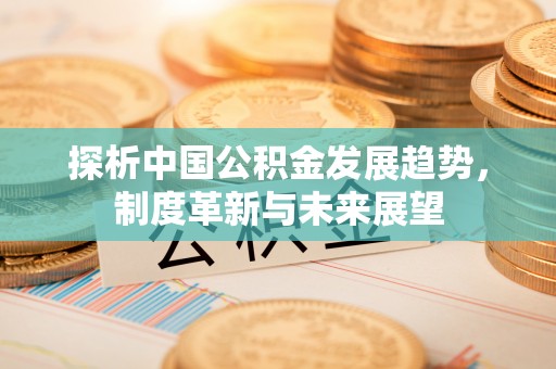 卢龙探析中国公积金发展趋势，制度革新与未来展望