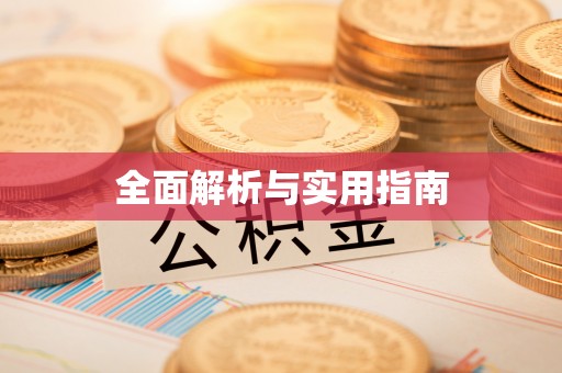 卢龙全面解析与实用指南