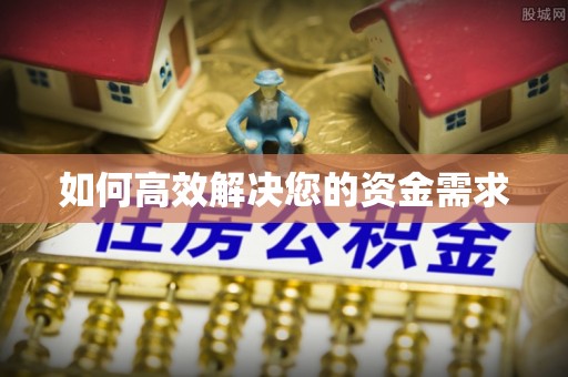 卢龙如何高效解决您的资金需求