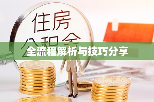 卢龙全流程解析与技巧分享