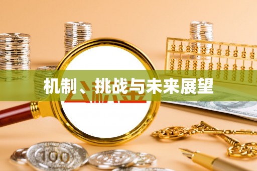卢龙机制、挑战与未来展望