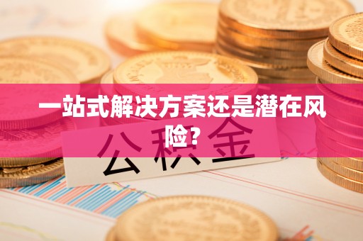 卢龙一站式解决方案还是潜在风险？