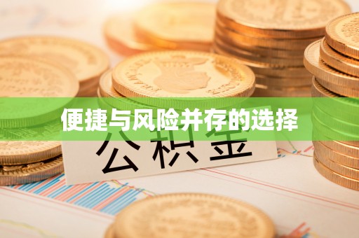 卢龙便捷与风险并存的选择