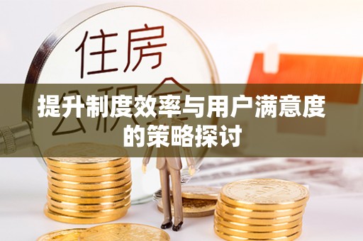 卢龙提升制度效率与用户满意度的策略探讨