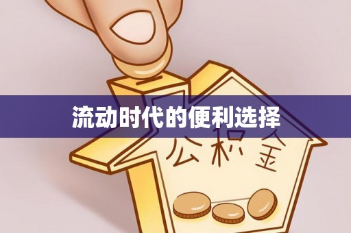 卢龙流动时代的便利选择