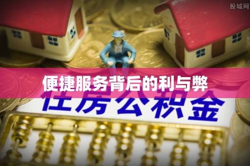 卢龙便捷服务背后的利与弊