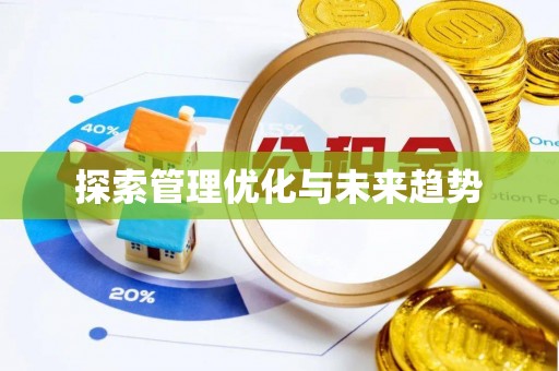 卢龙探索管理优化与未来趋势