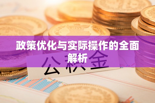 卢龙政策优化与实际操作的全面解析