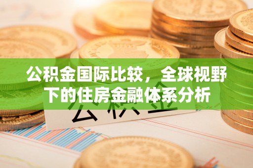 卢龙公积金国际比较，全球视野下的住房金融体系分析