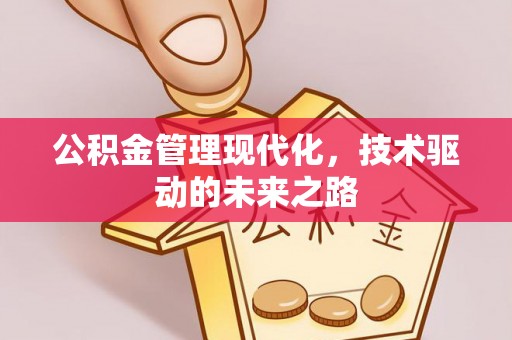 卢龙公积金管理现代化，技术驱动的未来之路
